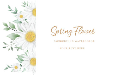 Hand drawn watercolor daisy flower background design