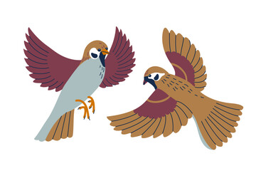 Cute little flying sparrows. Tiny sparrow birds on white background