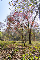 Obraz premium autumn in the park