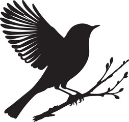 silhouette of a bird