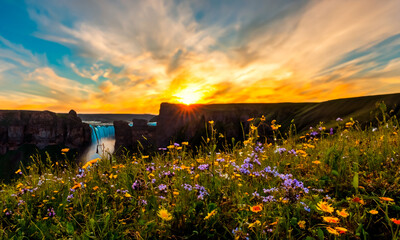 Beautiful landscape #06-202406	