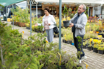 Positive mature couple in casual clothes choosing plants and shrubs in pots while shopping in garden center