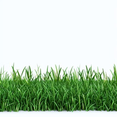 Fototapeta premium Field of grass with empty white copy space