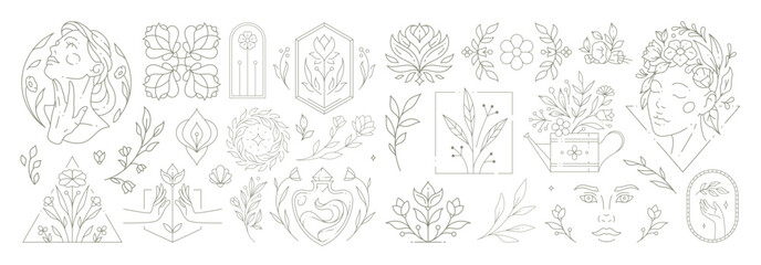 Beautiful flowers collection with botanical plants and leaves. Decorative line art flower emblems.