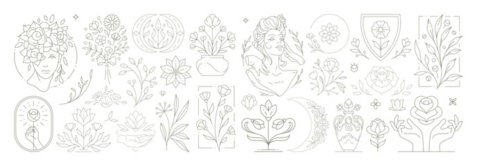 Beautiful flowers collection with botanical plants and leaves. Decorative line art flower emblems.