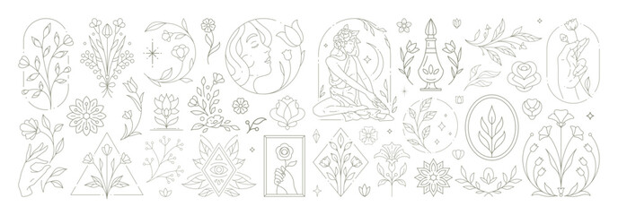 Beautiful flowers collection with botanical plants and leaves. Decorative line art flower emblems.