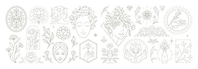 Beautiful flowers collection with botanical plants and leaves. Decorative line art flower emblems.