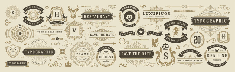 Vintage typographic decorative ornament design elements set vector illustration