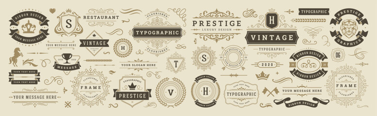 Vintage typographic decorative ornament design elements set vector illustration