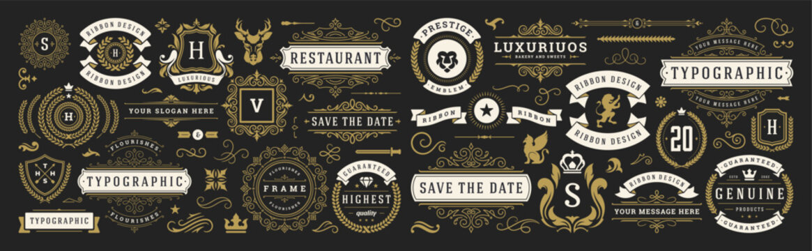 Vintage typographic decorative ornament design elements set vector illustration
