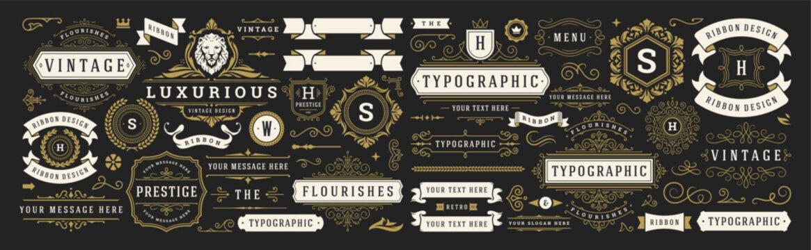 Vintage typographic decorative ornament design elements set vector illustration