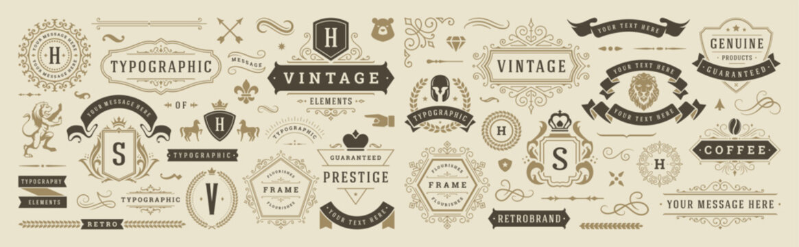 Naklejki Vintage typographic decorative ornament design elements set vector illustration