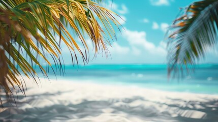 Fototapeta premium Beautiful tropical background with palm leaves and sand, closeup. Summer mock-up for presentation