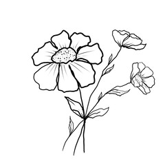 illustration of a flower