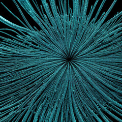 Obraz premium Close-up of cells and organisms