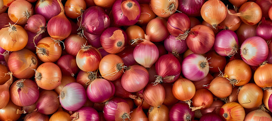 Onions background. A lot of fresh brown and pink onion closeup. Top view