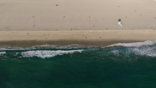 LA Venice Beach 6
