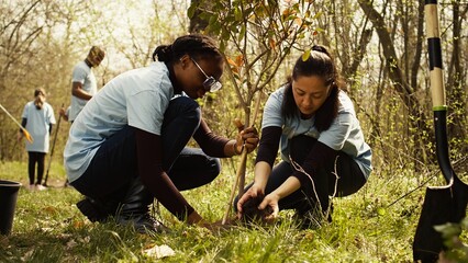 Activists joining forces in planting trees in the woods with commitment to nature conservation,...