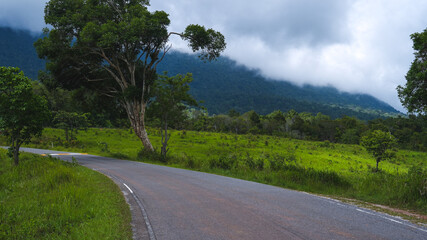 Road way to the nature in national park, exploration, journey or adventure in rainforest, Asphalt road in natural area, environmental inspiration green background, concept of scenery, wild and freedom