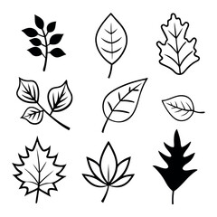 A lot of branches, leaves, twigs, garden grasses in line style for floral patterns, bouquets and compositions in white background. 
