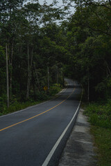 Obraz premium Road way to the nature in national park, exploration, journey or adventure in rainforest, Asphalt road in natural area, environmental inspiration green background, concept of scenery, wild and freedom