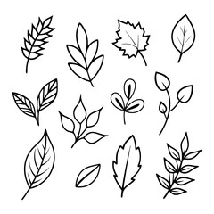 Fototapeta premium A lot of branches, leaves, twigs, garden grasses in line style for floral patterns, bouquets and compositions in white background. 