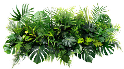 Green leaves of various plants forming lush foliage wall or hedge.