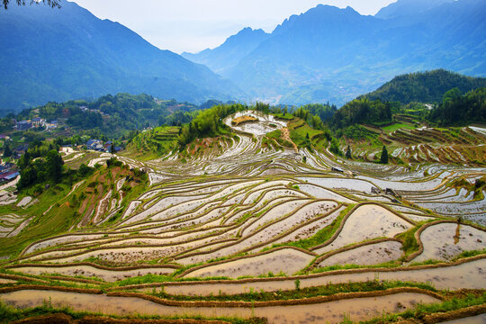 Scenery of Yunhe Terraced Fields in Zhejiang Province