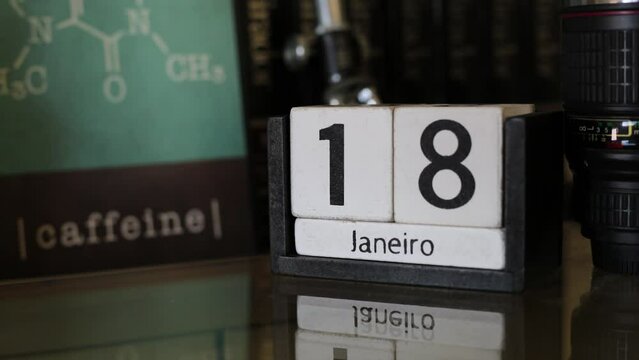 JANUARY TIMELAPSE STOPMOTION