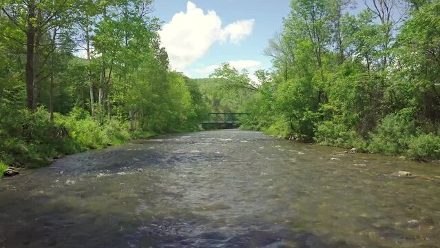 Incredible and adventure inspiring 4K drone video of mountain river between green trees low angle near water with bridge in distance. Amazing Vermont stream.