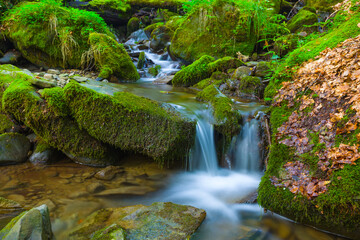 small brook flow among green mountain
