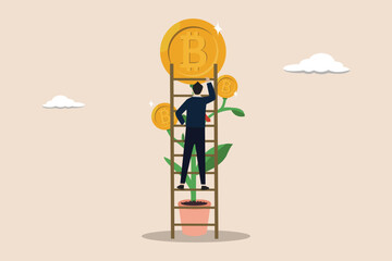 BTC bitcoin price growth, growing cryptocurrency to reach the highest price, bitcoin price increase concept, businessman investor riding the BTC bitcoin plant.