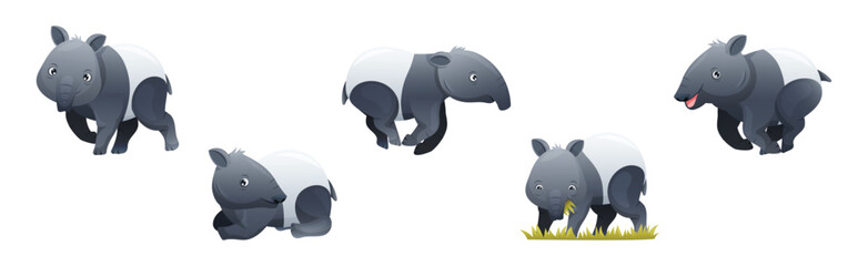 Cute Malayan Tapir as Asian Animal with White Patch and Short Nose Trunk in Different Pose Vector Set