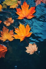 Colorful fall leaves in pond lake water