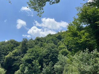 Mountain Landscape with Dense Green Forests, Blue Sky, and White Clouds