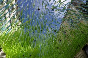 Un dispositif d'ombrage pour l'été dans une rue de Rennes