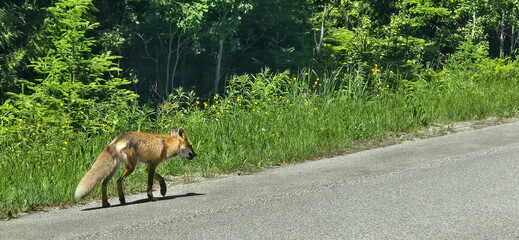 Fathom Five National Marine Park