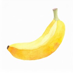 Hand drawn watercolor banana fruit isolated on white background