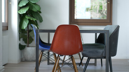 Stylish Modern Interior With Colorful Chairs And Large Indoor Plant - Home Decor