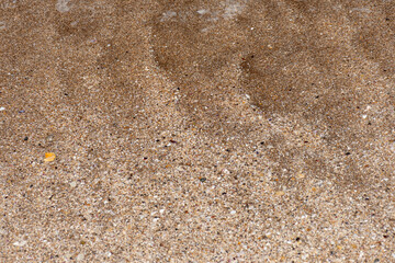 Texture of sand from the shore of the beach with traces of salt and shells.