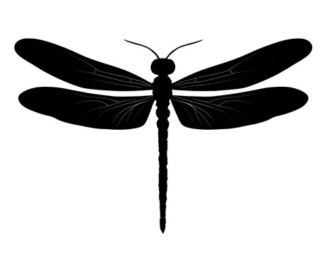 recommend clip art: schwarze Silhouette Kontrast Libelle icon isoliert auf weißen Hintergrund, Freisteller