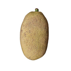 a natural green jackfruit