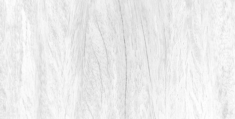 White wood texture with beautiful natural patterns in retro concept.