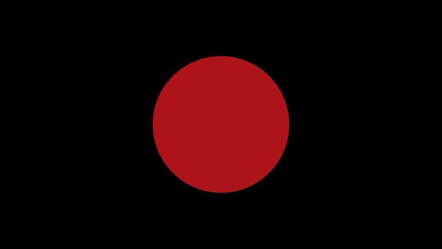Animated symbols of true and false, Yes and no, check mark, on black background.