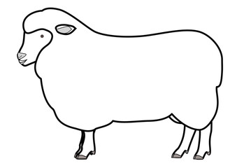 Line art of a sheep seen from the side