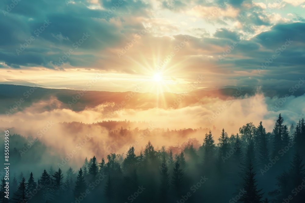 Wall mural Misty Sunrise Over a Forest Landscape