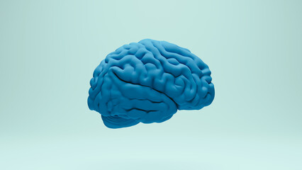 Brain human anatomy anatomical study education medical science blue purple right view 3d illustration render digital rendering	