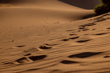Resembling a desert, Patara sand dunes offer an unforgettable experience with both its view and the ancient city and beach around it.