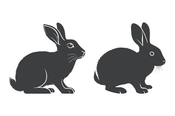 Rabbit Vector Art and illustration 