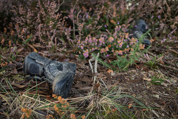 Discarded Boots and Wild Flowers